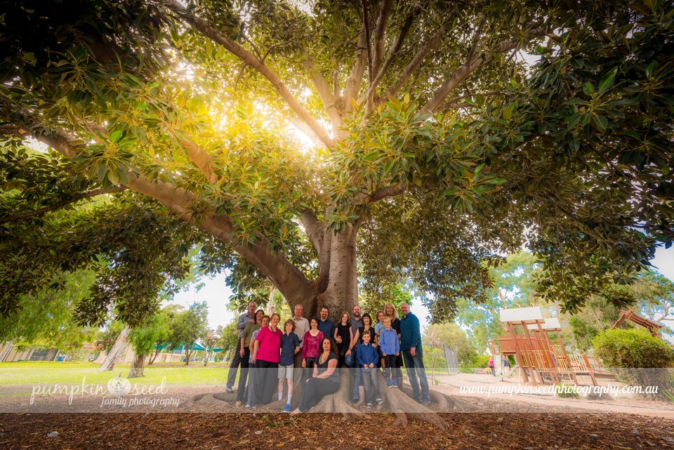 extended-family-photo-session-melbourne-pumpkin-seed-family